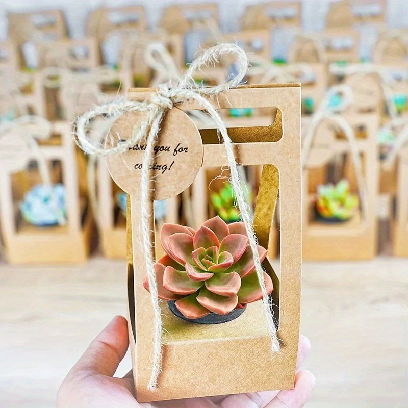 Flower Wrap Kraft - 10 Set Sukulent Paketleme Hediye Çantası,