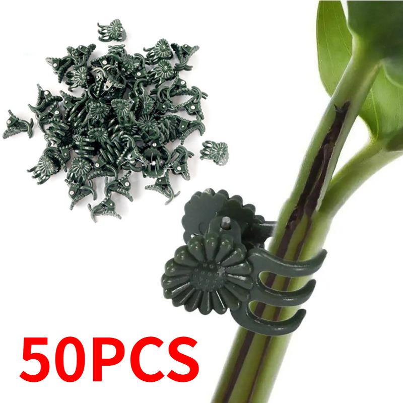 50 Adet 5 Tırnaklı Koyu Yeşil  - Florist Supply Bulk incelemesi ve fiyatı