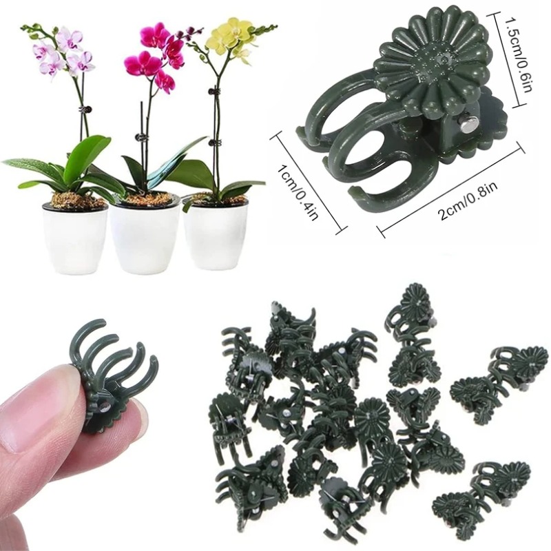 50 Adet 5 Tırnaklı Koyu Yeşil  - Florist Supply Bulk incelemesi ve fiyatı