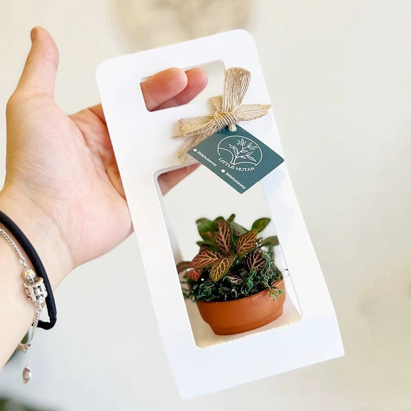 10 Set Sukulent Paketleme Hedi - Flower Wrap Kraft incelemesi ve fiyatı